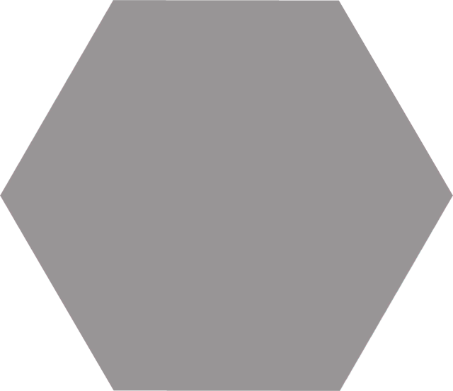 Керамогранит Basic Grey Hex25 (25x22)