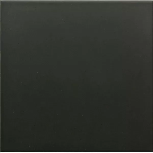 Керамогранит 30720 RIVOLI Black 20x20 см