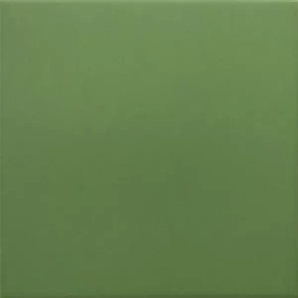 Керамогранит 30716 RIVOLI Green 20x20 см