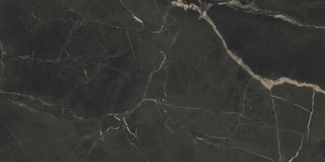 Керамогранит Purity of marble Supreme Dark (60x120) Psd6