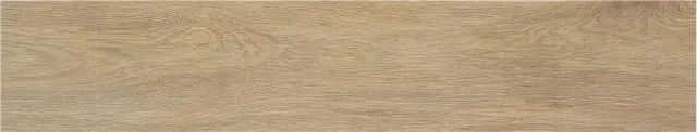 Плитка TACORA CAMEL MT 23X120