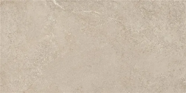 Плитка ARENITE NATURAL MT 60X120