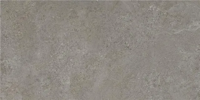Плитка ARENITE DARK GREY MT 60X120