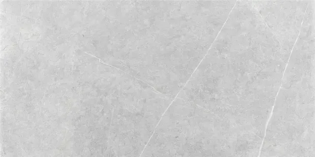 Плитка NORTHON LIGHT GREY MT 60X120