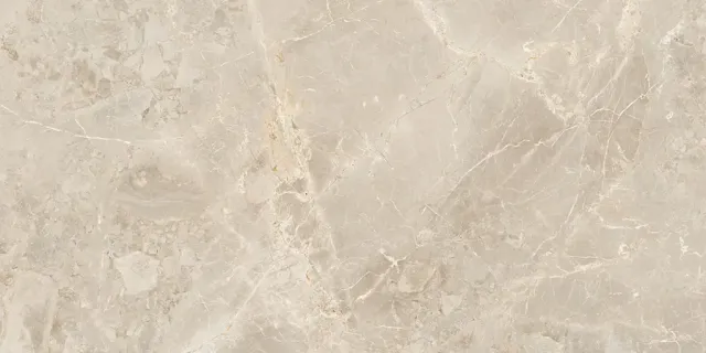 Плитка SUVEYA BRECCIA 60X120