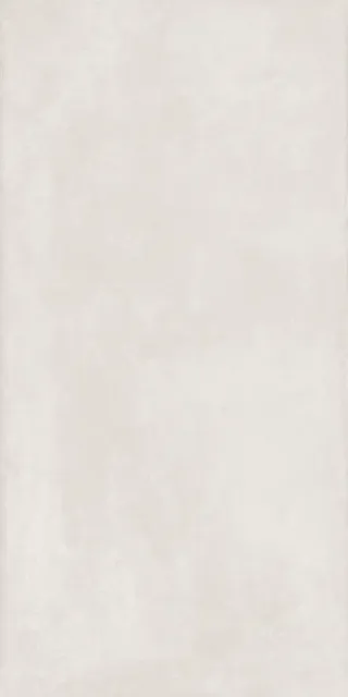 ELEMENT PLATINUM 60X120