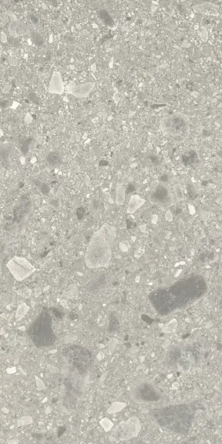 PORTRAITS BRERA 60X120 RT