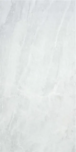 SUBLIME WHITE MT 60X120