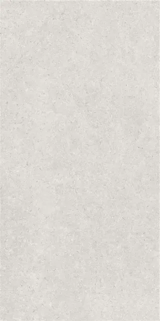 LEIRIA GREIGE MT 60X120 6MM
