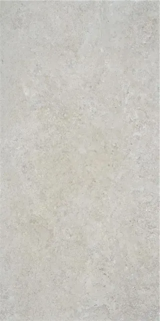 OREGON GREY MT 60X120