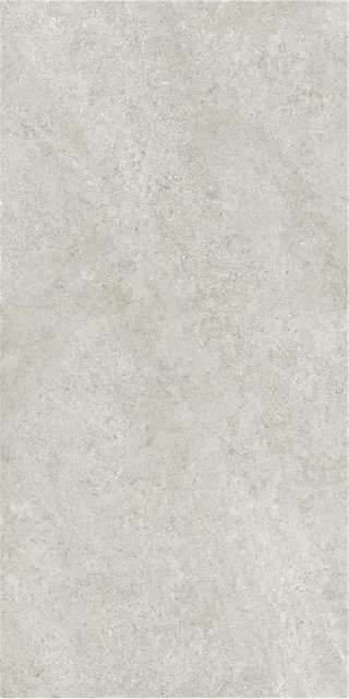 ARENITE PEARL MT 60X120