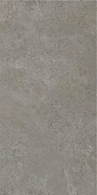 ARENITE DARK GREY MT 60X120