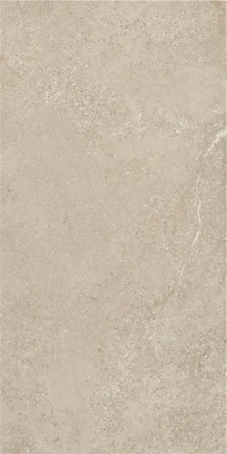 ARENITE NATURAL MT 60X120