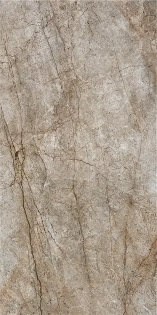 RAIN FOREST NATURAL PULIDO 59X119