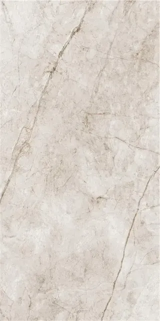 RAIN FOREST WHITE MT 60X120