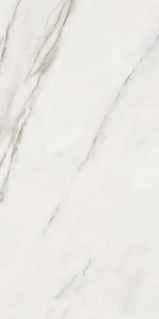 CALACATTA SUPERWHITE SATIN 60X120