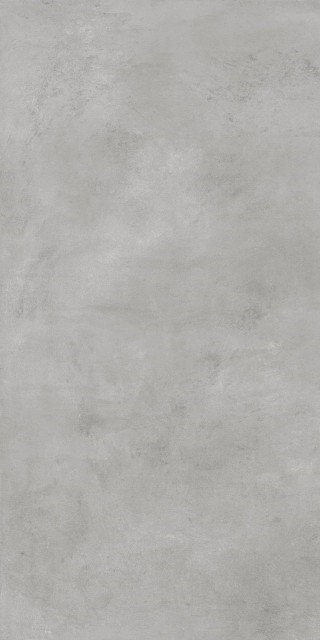 Bercy Grigio 60x120