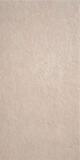 DETROIT TAUPE MT 60X120