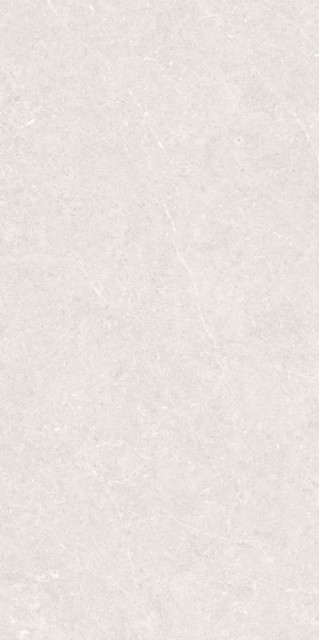 BERGSTEIN LIGHT MATT 60X120 Artech