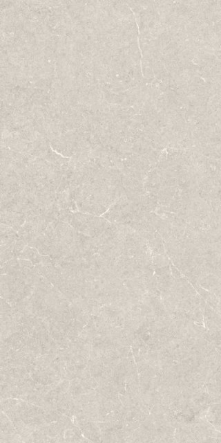 BERGSTEIN IVORY MATT 60X120 Artech