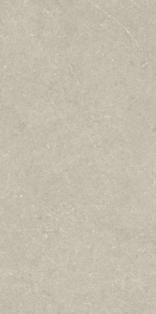 BERGSTEIN BEIGE MATT 60X120  Artech