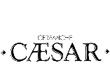 Логотип Caesar